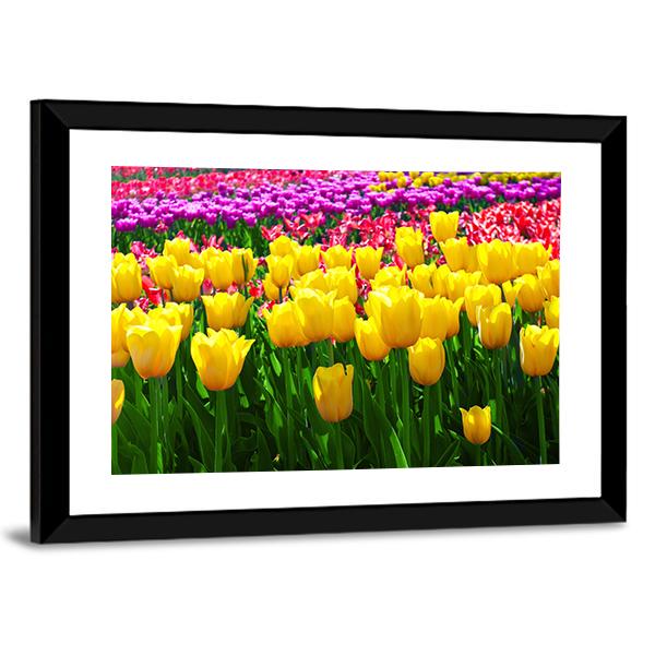 Tulips Field Flowers Canvas Wall Art-5 Horizontal-Gallery Wrap-22" x 12"-Tiaracle