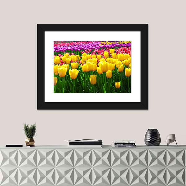 Tulips Field Flowers Canvas Wall Art-5 Horizontal-Gallery Wrap-22" x 12"-Tiaracle