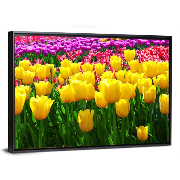 Tulips Field Flowers Canvas Wall Art-5 Horizontal-Gallery Wrap-22" x 12"-Tiaracle
