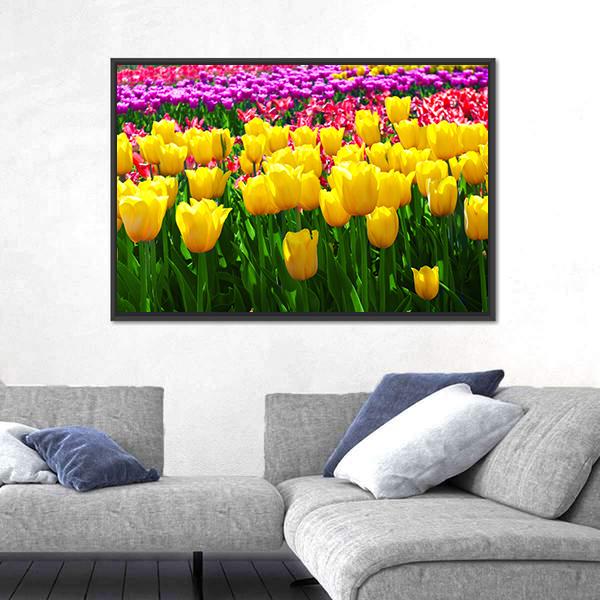Tulips Field Yellow Flowers Canvas Wall Art in yellow, green and pink, framed canvas, product view on a white background