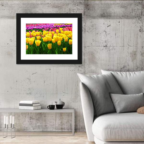 Tulips Field Yellow Flowers Canvas Wall Art-3 Horizontal-Gallery Wrap-25&quot; x 16&quot;-Tiaracle