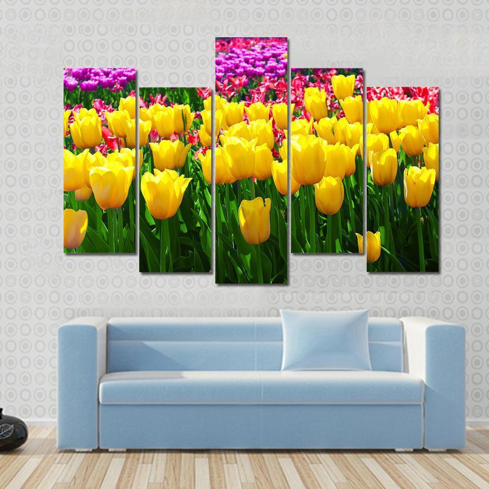 Tulips Field Yellow Flowers Canvas Wall Art-5 Pop-Gallery Wrap-47&quot; x 32&quot;-Tiaracle