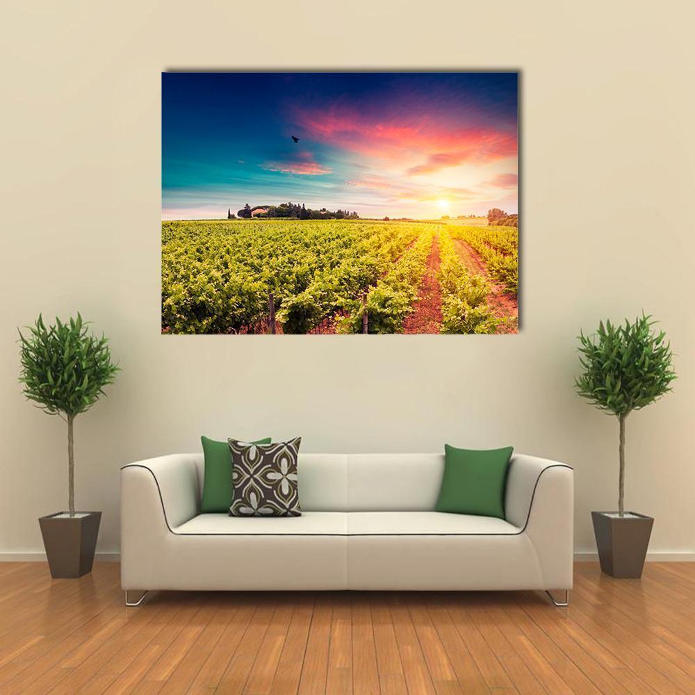 Tuscan vineyards At Sunset Canvas Wall Art-1 Piece-Gallery Wrap-36" x 24"-Tiaracle