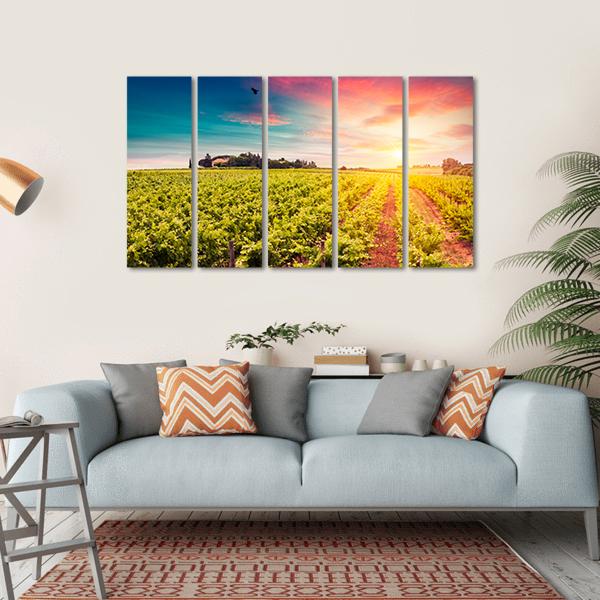 Tuscan vineyards At Sunset Canvas Wall Art-5 Horizontal-Gallery Wrap-22" x 12"-Tiaracle