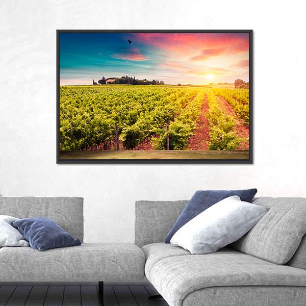 Tuscan vineyards At Sunset Canvas Wall Art-1 Piece-Floating Frame-24" x 16"-Tiaracle
