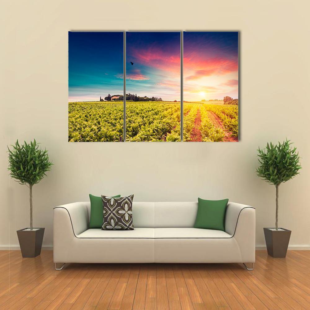 Tuscan vineyards At Sunset Canvas Wall Art-3 Horizontal-Gallery Wrap-37" x 24"-Tiaracle