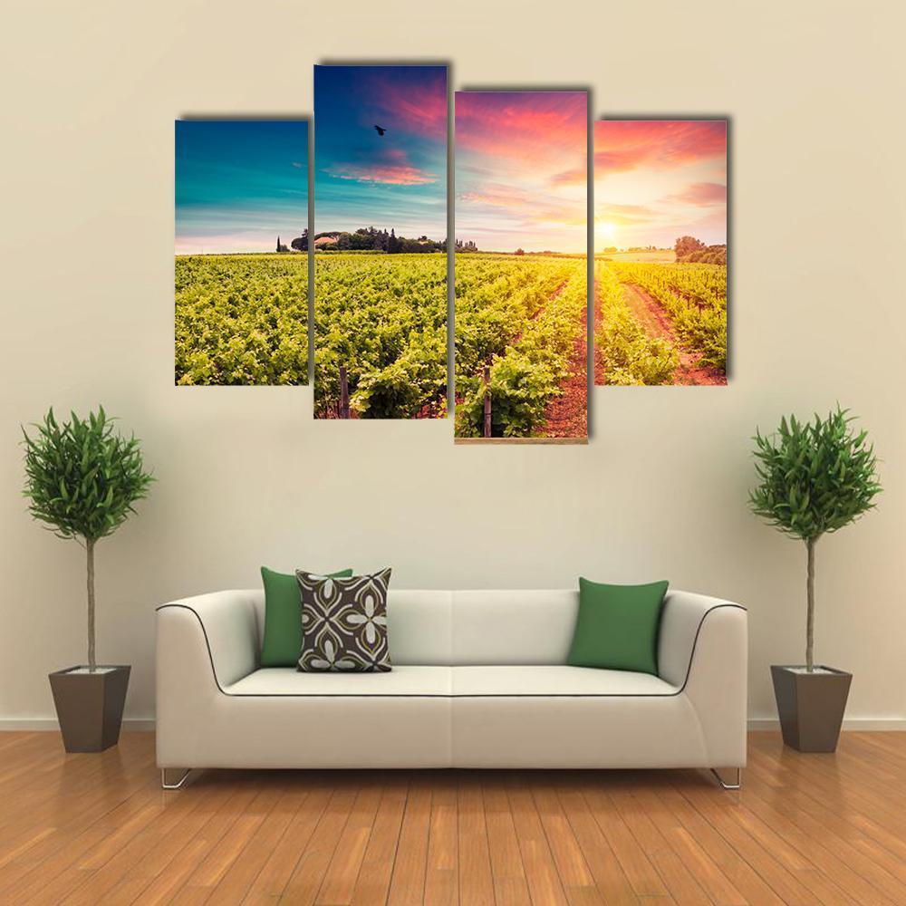 Tuscan vineyards At Sunset Canvas Wall Art-4 Pop-Gallery Wrap-50" x 32"-Tiaracle