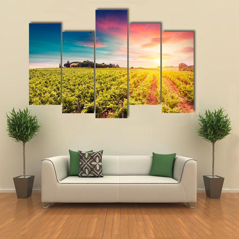 Tuscan vineyards At Sunset Canvas Wall Art-5 Pop-Gallery Wrap-47" x 32"-Tiaracle