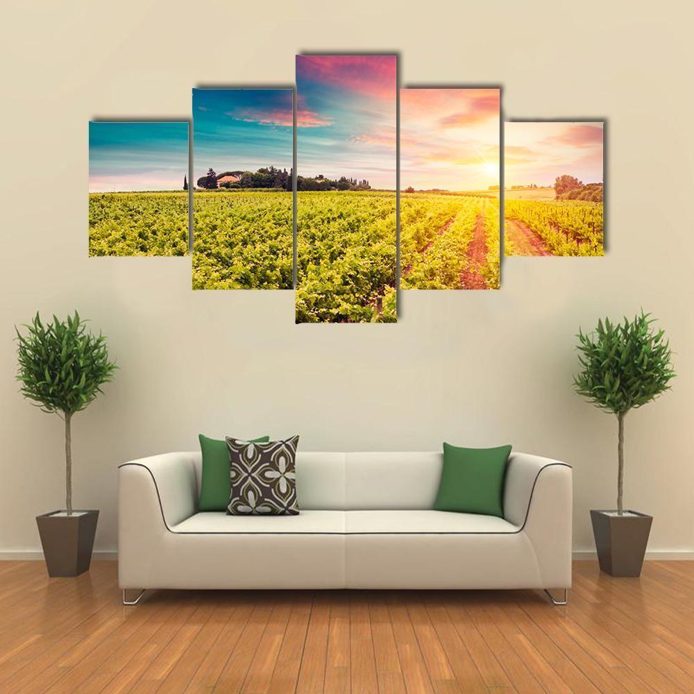 Tuscan vineyards At Sunset Canvas Wall Art-5 Star-Gallery Wrap-62" x 32"-Tiaracle