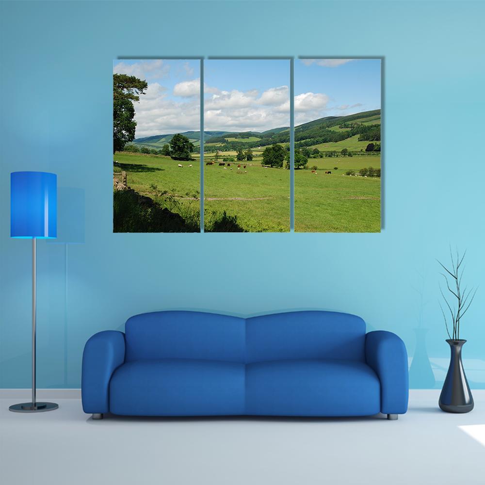Tweed Valley Near Traquair Canvas Wall Art-3 Horizontal-Gallery Wrap-37" x 24"-Tiaracle