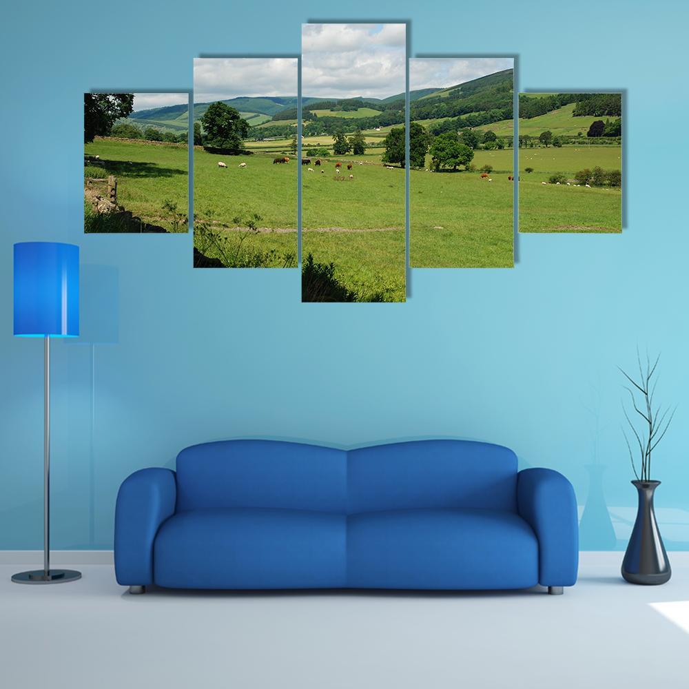 Tweed Valley Near Traquair Canvas Wall Art-5 Star-Gallery Wrap-62" x 32"-Tiaracle