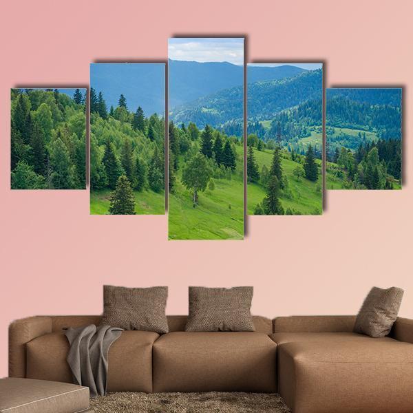 Ukrainian Mountain Valleys In The Summer Canvas Wall Art-5 Star-Gallery Wrap-62" x 32"-Tiaracle