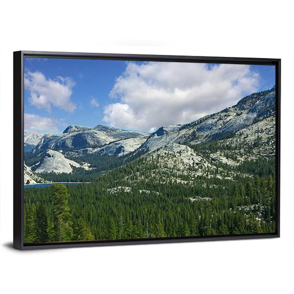 Valley In Mountain Park Yosemite Canvas Wall Art-3 Horizontal-Gallery Wrap-25" x 16"-Tiaracle