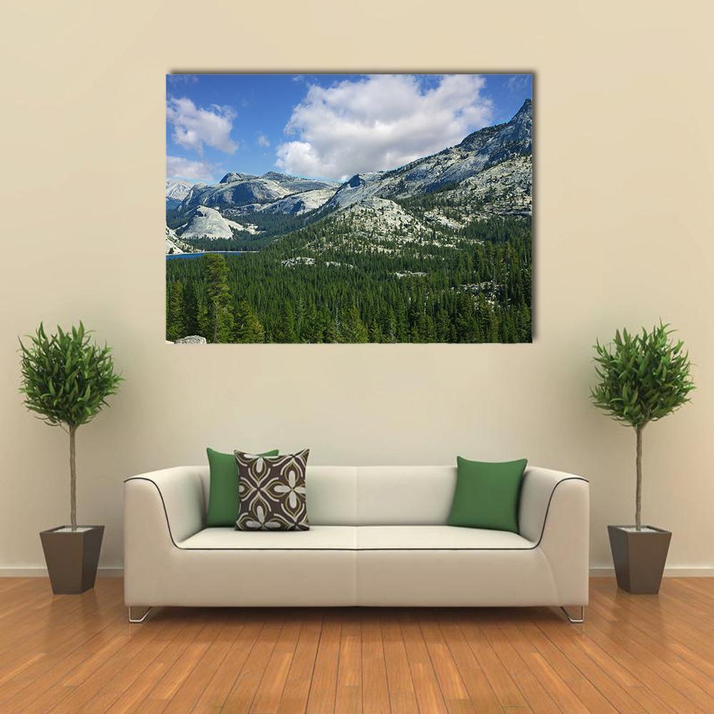 Valley In Mountain Park Yosemite Canvas Wall Art-1 Piece-Gallery Wrap-48" x 32"-Tiaracle