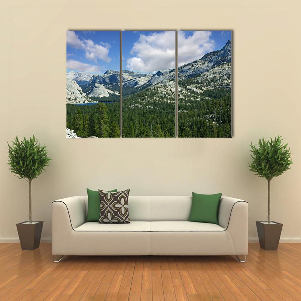 Valley In Mountain Park Yosemite Canvas Wall Art-3 Horizontal-Gallery Wrap-37" x 24"-Tiaracle