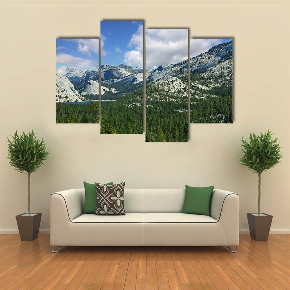 Valley In Mountain Park Yosemite Canvas Wall Art-4 Pop-Gallery Wrap-50" x 32"-Tiaracle