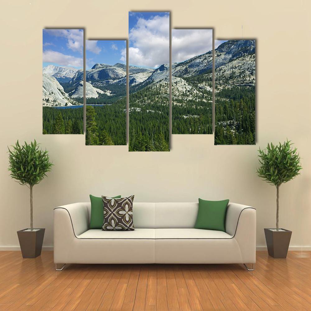 Valley In Mountain Park Yosemite Canvas Wall Art-4 Pop-Gallery Wrap-50" x 32"-Tiaracle