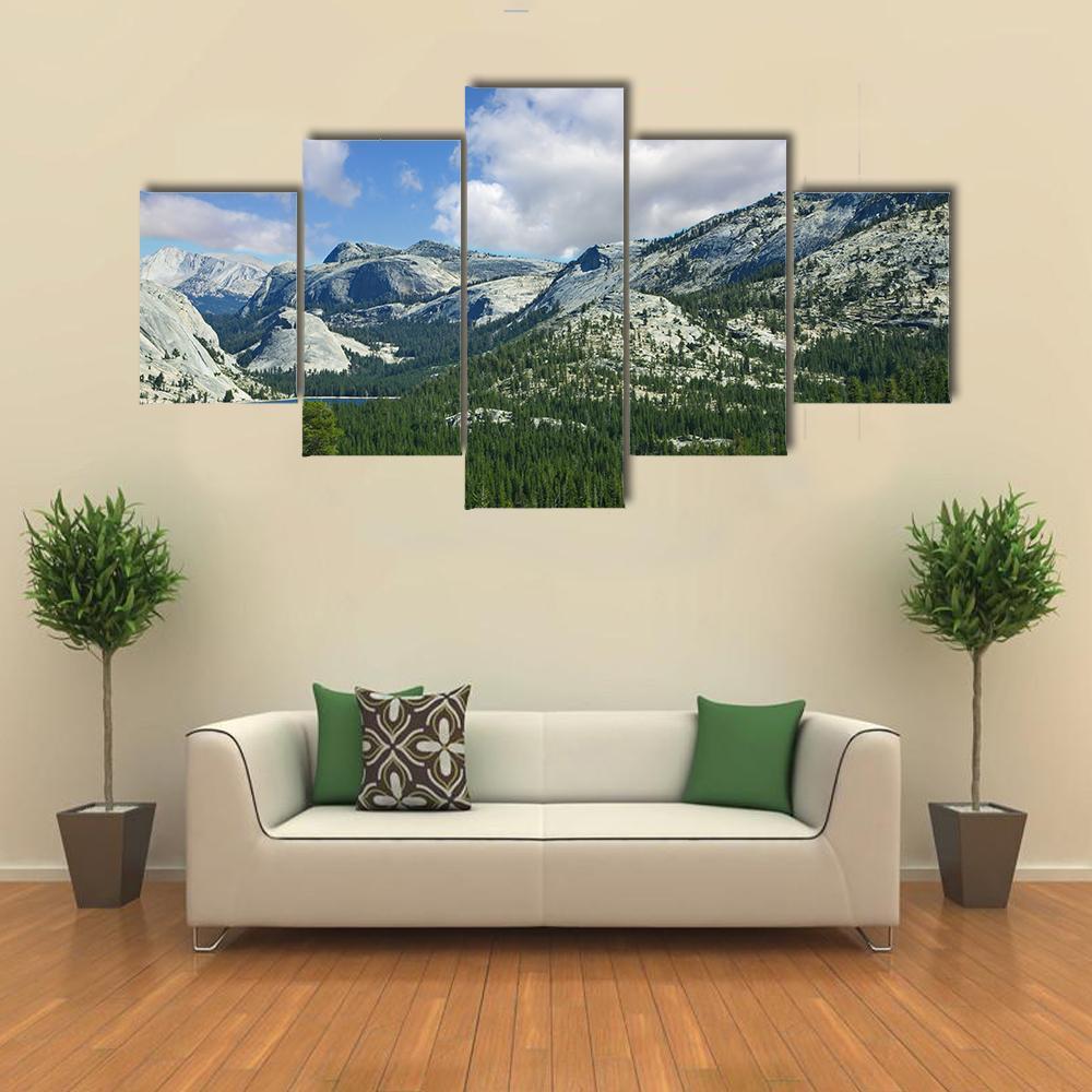 Valley In Mountain Park Yosemite Canvas Wall Art-5 Star-Gallery Wrap-62" x 32"-Tiaracle