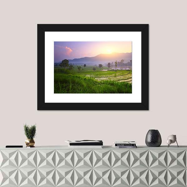 Valley With Rice Terraces And Trees Canvas Wall Art-1 Piece-Framed Print-20" x 16"-Tiaracle