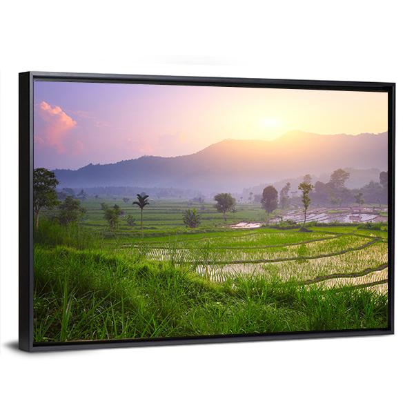 Valley With Rice Terraces And Trees Canvas Wall Art-3 Horizontal-Gallery Wrap-25" x 16"-Tiaracle