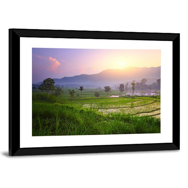 Valley With Rice Terraces And Trees Canvas Wall Art-3 Horizontal-Gallery Wrap-25" x 16"-Tiaracle