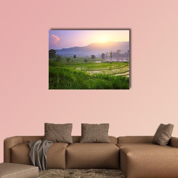Valley With Rice Terraces And Trees Canvas Wall Art-4 Pop-Gallery Wrap-50" x 32"-Tiaracle