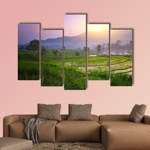 Valley With Rice Terraces And Trees Canvas Wall Art-5 Pop-Gallery Wrap-47" x 32"-Tiaracle