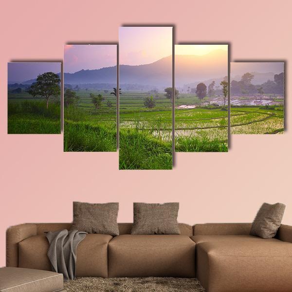 Valley With Rice Terraces And Trees Canvas Wall Art-5 Star-Gallery Wrap-62" x 32"-Tiaracle