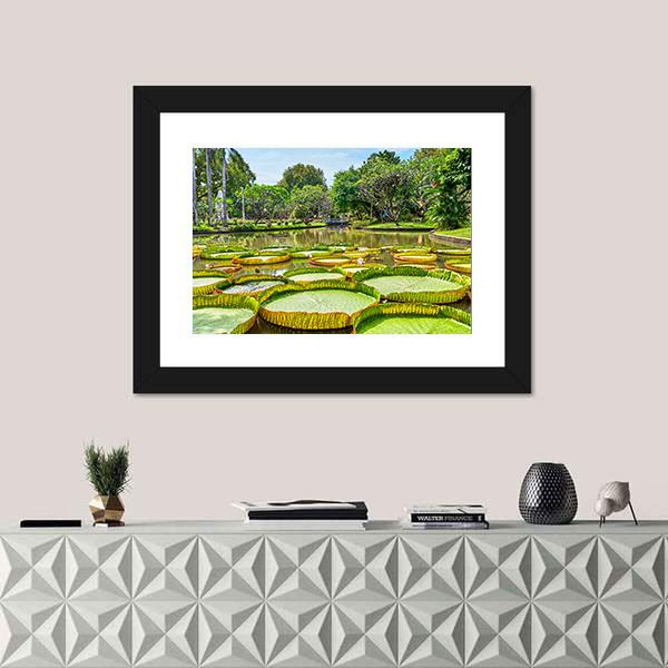 Victoria Amazonica Giant Water Lilies Canvas Wall Art-1 Piece-Framed Print-20" x 16"-Tiaracle