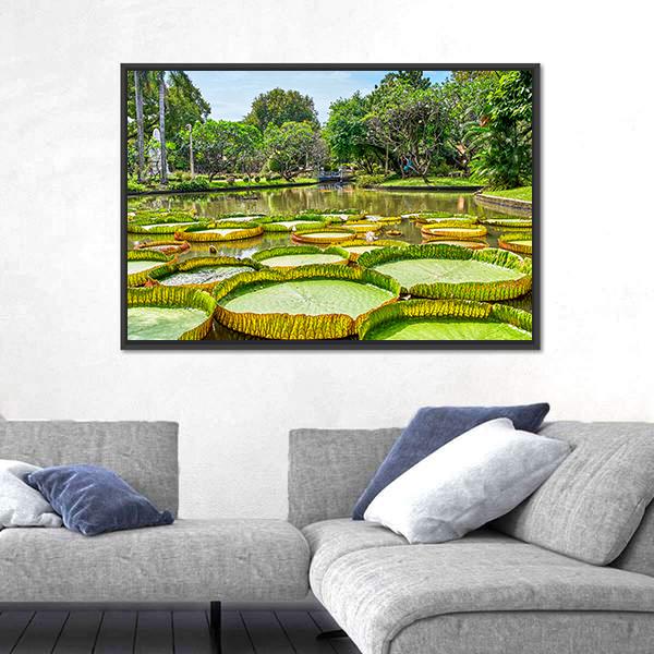Victoria Amazonica Giant Water Lilies Canvas Wall Art-3 Horizontal-Gallery Wrap-25" x 16"-Tiaracle