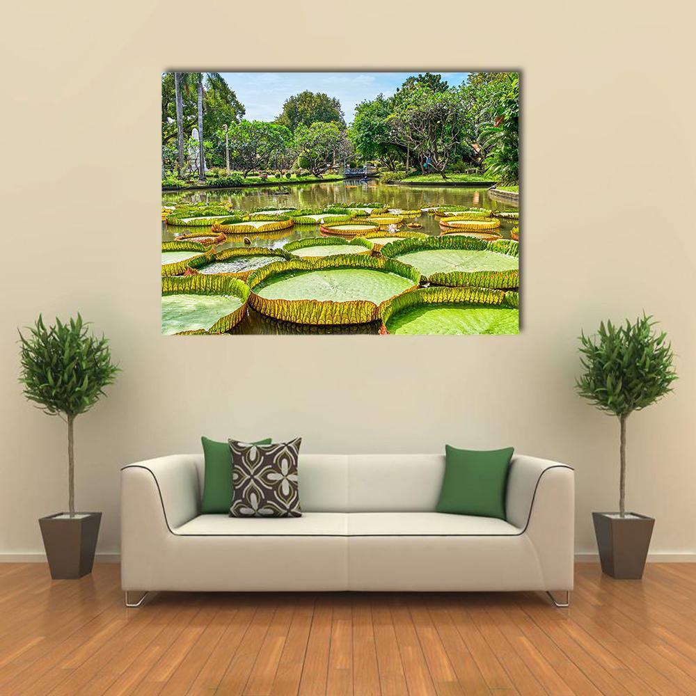 Victoria Amazonica Giant Water Lilies Canvas Wall Art-1 Piece-Gallery Wrap-48" x 32"-Tiaracle