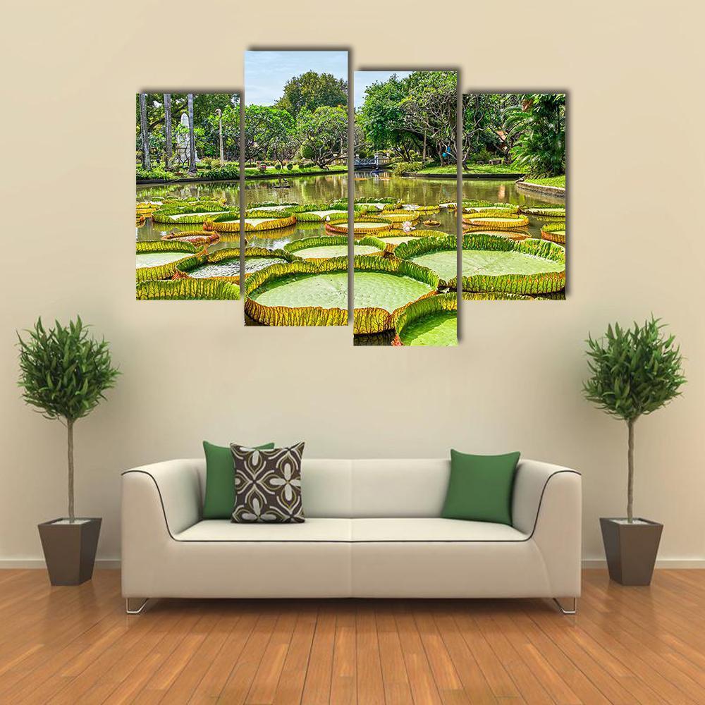 Victoria Amazonica Giant Water Lilies Canvas Wall Art-4 Pop-Gallery Wrap-50" x 32"-Tiaracle