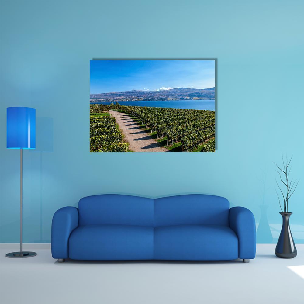 Mission Hill Vineyard Over Lake Okanagan Canvas Wall Art in brown, green and blue, single panel hung on a wall