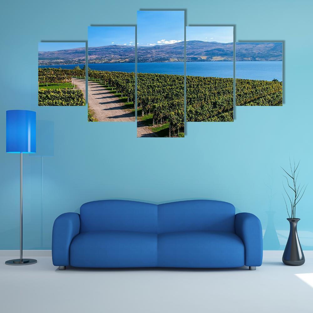 Mission Hill Vineyard Over Lake Okanagan Canvas Wall Art in brown, green and blue, 5 panel Star layout hung on a wall