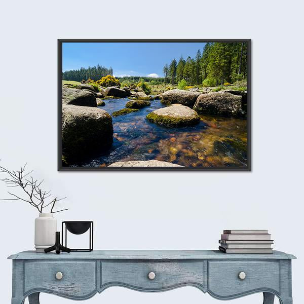 View Of Bellever Forest And Dart River In England Canvas Wall Art-1 Piece-Floating Frame-24" x 16"-Tiaracle