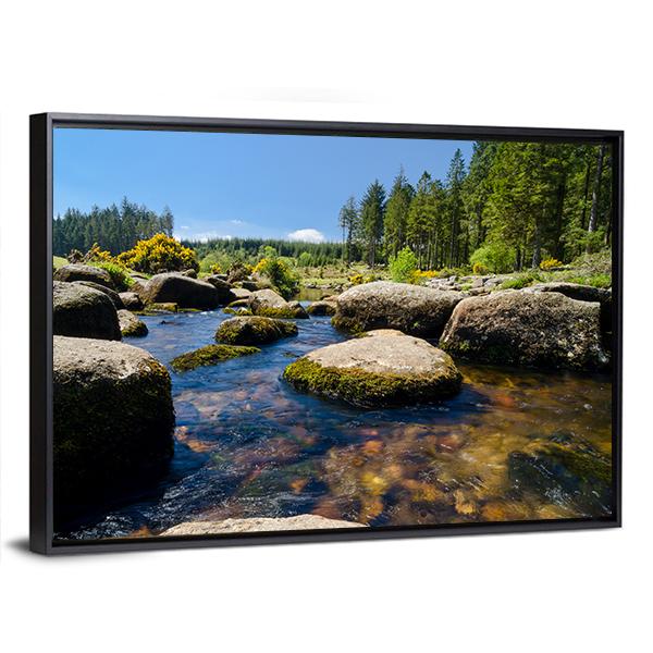 View Of Bellever Forest And Dart River In England Canvas Wall Art-3 Horizontal-Gallery Wrap-25" x 16"-Tiaracle