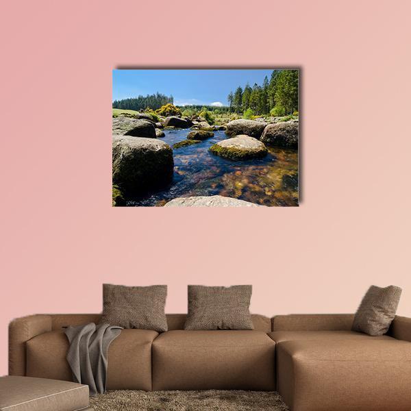 View Of Bellever Forest And Dart River In England Canvas Wall Art-1 Piece-Gallery Wrap-48" x 32"-Tiaracle