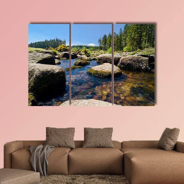 View Of Bellever Forest And Dart River In England Canvas Wall Art-3 Horizontal-Gallery Wrap-37" x 24"-Tiaracle