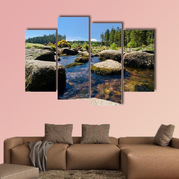 View Of Bellever Forest And Dart River In England Canvas Wall Art-4 Pop-Gallery Wrap-50" x 32"-Tiaracle