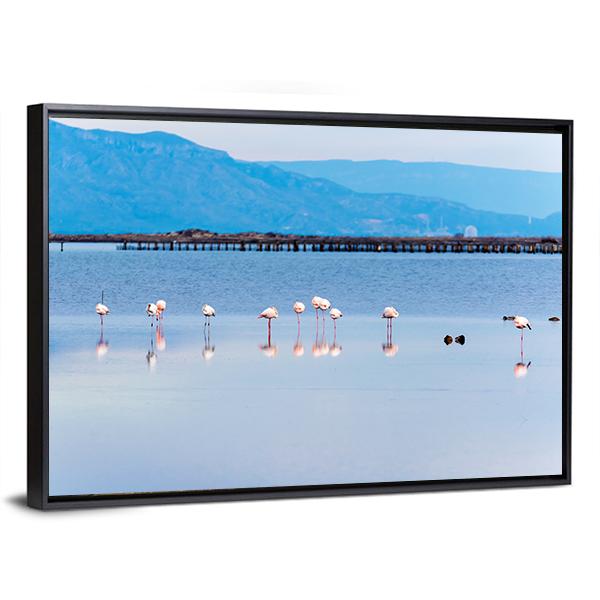 View Of Flamingo Group In Water Canvas Wall Art-3 Horizontal-Gallery Wrap-25" x 16"-Tiaracle
