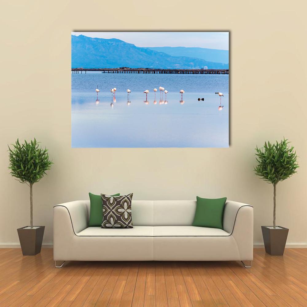 View Of Flamingo Group In Water Canvas Wall Art-1 Piece-Gallery Wrap-48" x 32"-Tiaracle