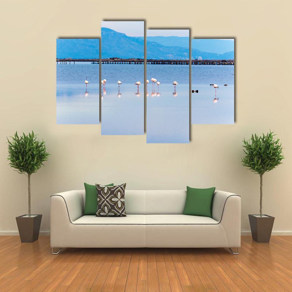 View Of Flamingo Group In Water Canvas Wall Art-1 Piece-Gallery Wrap-48" x 32"-Tiaracle