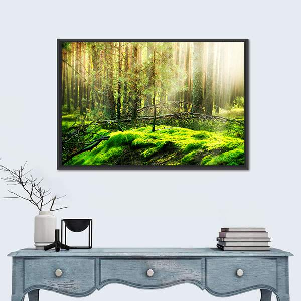 View Of Forest In Sunlight Canvas Wall Art-1 Piece-Floating Frame-24&quot; x 16&quot;-Tiaracle