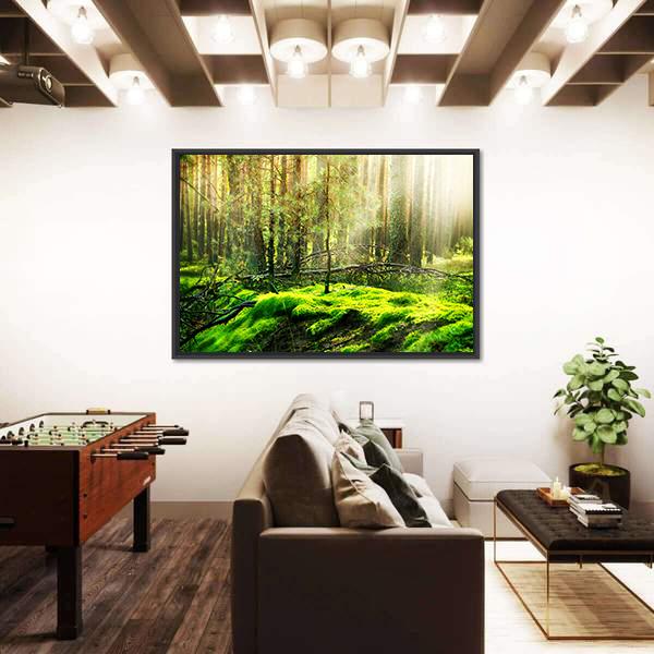 View Of Forest In Sunlight Canvas Wall Art-3 Horizontal-Gallery Wrap-25&quot; x 16&quot;-Tiaracle