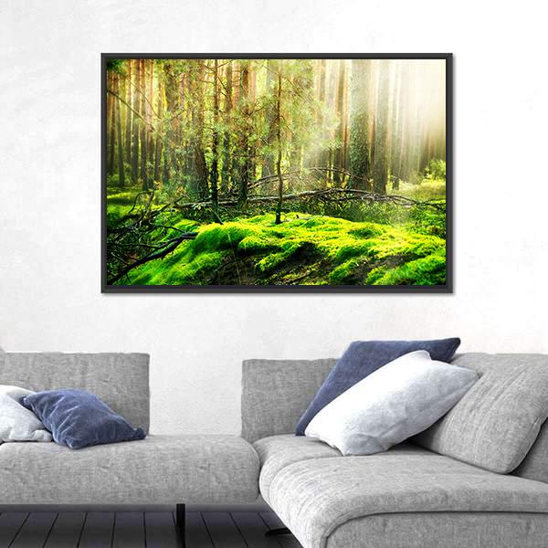 View Of Forest In Sunlight Canvas Wall Art-3 Horizontal-Gallery Wrap-25&quot; x 16&quot;-Tiaracle