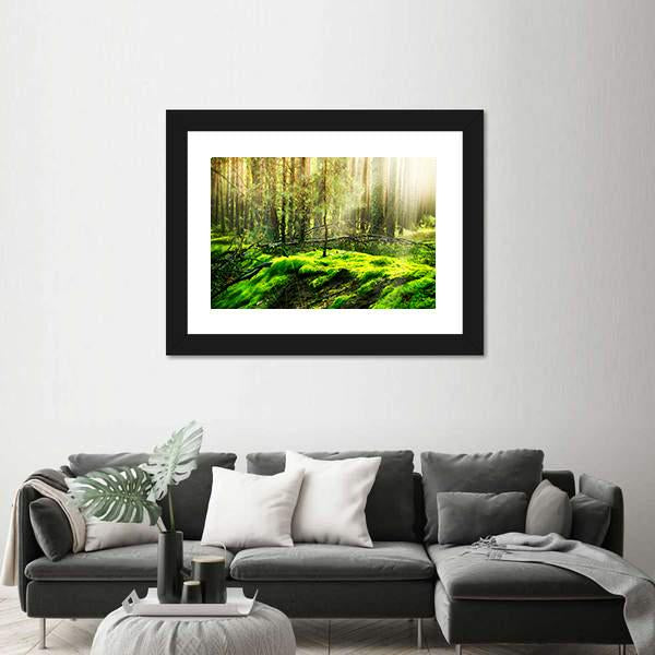 View Of Forest In Sunlight Canvas Wall Art-3 Horizontal-Gallery Wrap-25&quot; x 16&quot;-Tiaracle