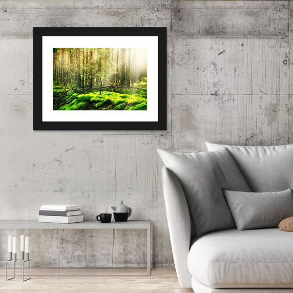 View Of Forest In Sunlight Canvas Wall Art-3 Horizontal-Gallery Wrap-25&quot; x 16&quot;-Tiaracle