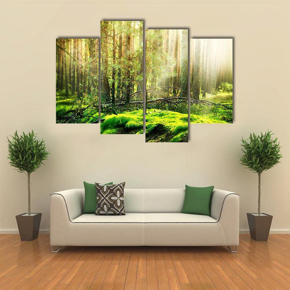 View Of Forest In Sunlight Canvas Wall Art-4 Pop-Gallery Wrap-50&quot; x 32&quot;-Tiaracle