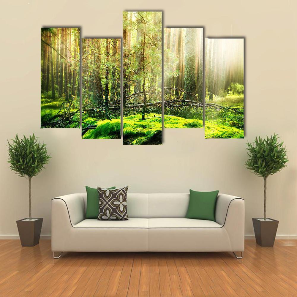 View Of Forest In Sunlight Canvas Wall Art-5 Pop-Gallery Wrap-47&quot; x 32&quot;-Tiaracle