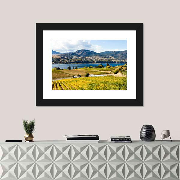 View Of Grape Vineyards In Canada Canvas Wall Art-1 Piece-Framed Print-20" x 16"-Tiaracle